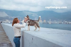 Captions for Pictures With Dogs